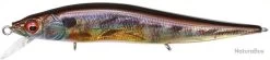 Megabass VISION 110 JUNIOR - FA GILL