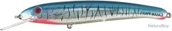 Fishing Soldes -Fishing Soldes 00002 LASER PRO 160 BAITFISH