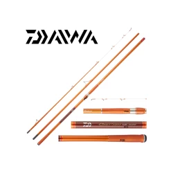 CANNE DAIWA CAST'IZM 4M25 100-225G 33425HBF