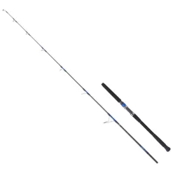Daiwa Canne Spinning Saltiga Blue Fin 78