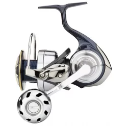 Daiwa Moulinet Jigging Certate LT 2019 Ark