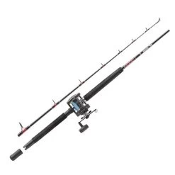 Ensemble Abu Garcia Mer Muscle Tip 602 Swh