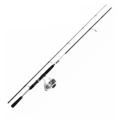 Ensemble Spinning Daiwa Laguna Sea Bass 07