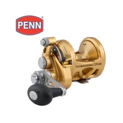MOULINET PENN INTERNATIONAL 30 VISX GOLD
